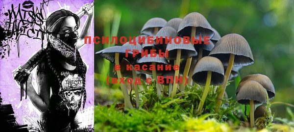 мескалин Арсеньев