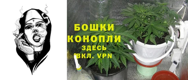 мескалин Арсеньев